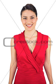 Smiling sexy tied haired brunette in red dress posing