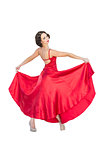 Gorgeous flamenco dancer posing