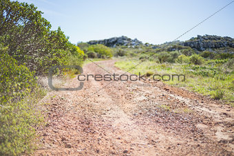 Picture of track in arid landscape