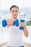 Serious athletic brunette exercising with dumbbells