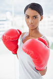 Competitive serious model wearing red boxing gloves