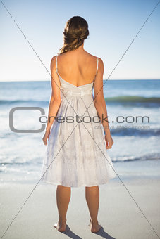 Rear view of attractive woman on beach