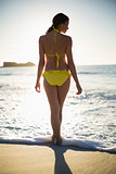 Attractive woman in bikini standing back to camera
