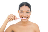Cheerful black haired model brushing her teeth