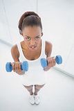 High angle view of unsmiling fit woman exercising with dumbbells