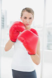 Serious fit woman with red gloves boxing