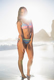 Peaceful sexy woman in bikini posing