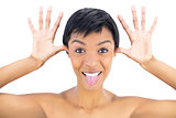 Joyful black haired woman posing with tongue out and hands around her head