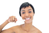 Gorgeous black haired woman brushing her teeth