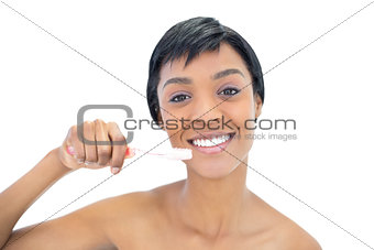 Gorgeous black haired woman brushing her teeth