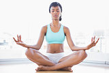 Relaxed black haired woman doing yoga