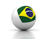 Brazilian Volleyball Team