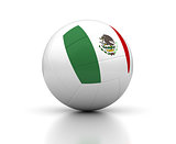 Mexican Volleyball Team