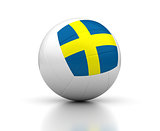 Swedish Volleyball Team