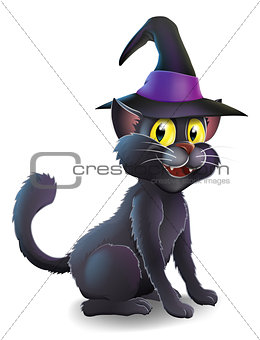 Halloween Witch Cat