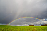 natural rainbow over green field