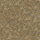 Seamless Texture of  Withered Grass.