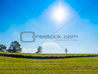 green grass and blue sky with sun
