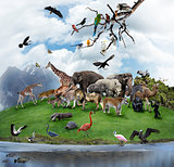 A Collage Of Wild Animals And Birds 