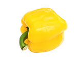  yellow sweet  bell pepper isolated on white background
