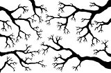 Branches theme image 1