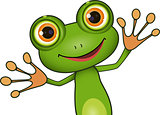 green cute frog