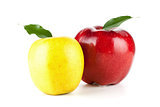 Yellow and Red Ripe Apples