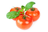 Three tomatoes with basil leafs