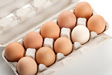 the hen's eggs in pack