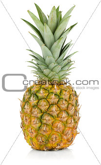 Juicy pineapple