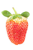 Macro food collection - Strawberry