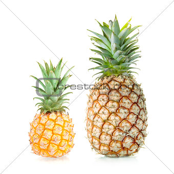 Two Sweet Pineapples