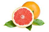 Fresh juicy grapefruit