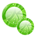 Eco friendly icon for web design, leaves texture 