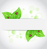 Eco green leaves with ladybugs sticking out of the cut paper