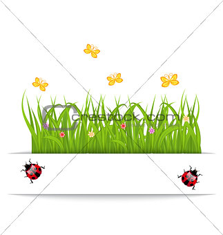 Spring card with grass, flower, butterfly, ladybug
