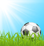 Soccer ball on green grass 