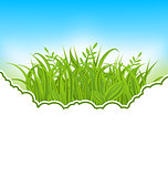 Nature card with green grass