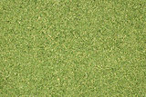 Dill tops or grass clippings background