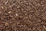 Compost, soil or dirt background