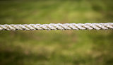 Rope against green
