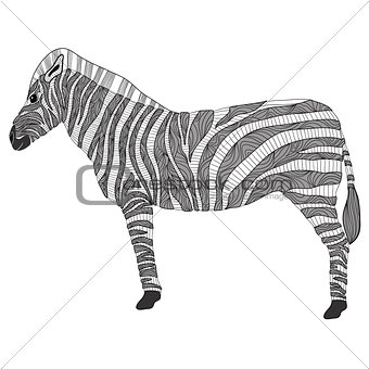 Cute pattern zebra         