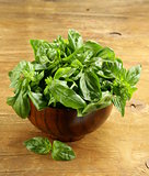 fresh green basil on a wooden background