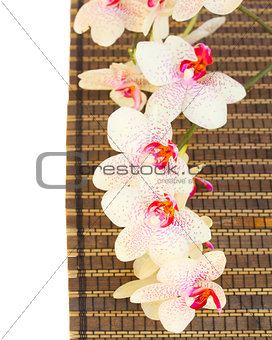 spa settings with pink orchideas