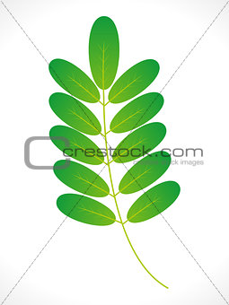 abstract eco green leaf icon