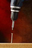  screwdriver with screw