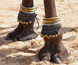Decorated camel foot 
