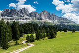 the meadows of Colbleggio, Karersee - Dolomites