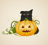 Cat and pumpkin