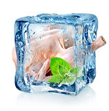 Chicken in ice cube